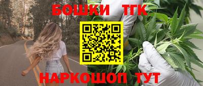 дмт Можайск
