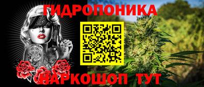 дмт Можайск