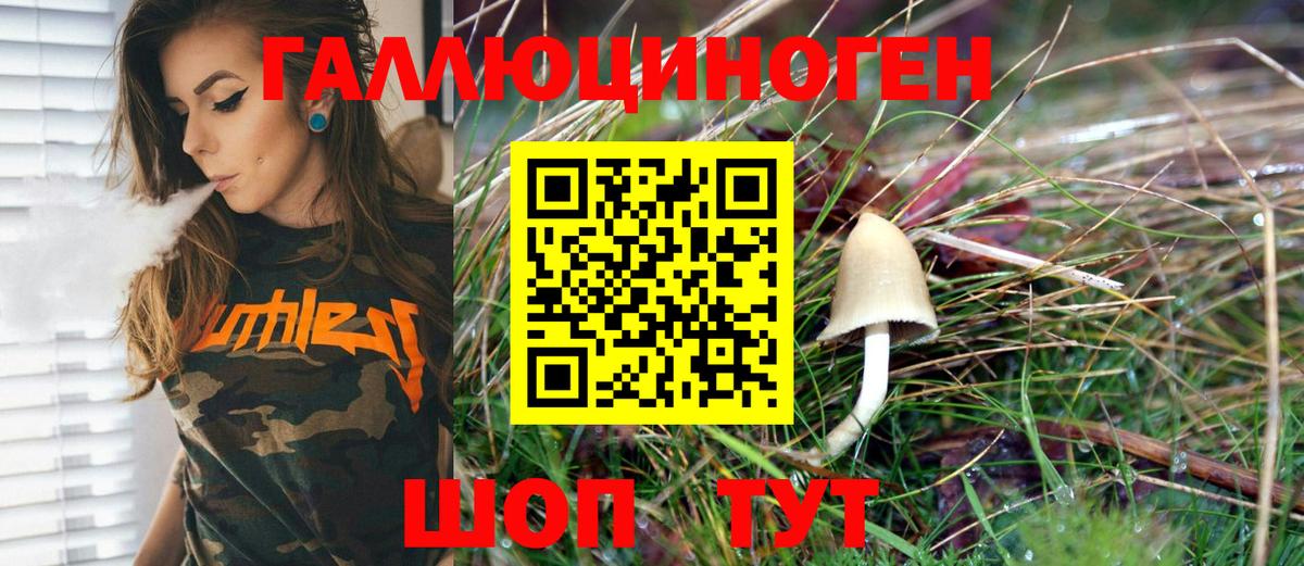 цена наркотик  Вход с VPN  Шелехов  Галлюциногенные грибы Psilocybe 
